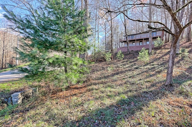 view of yard featuring a wooden deck