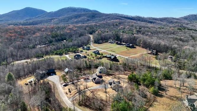 bird's eye view with a mountain view