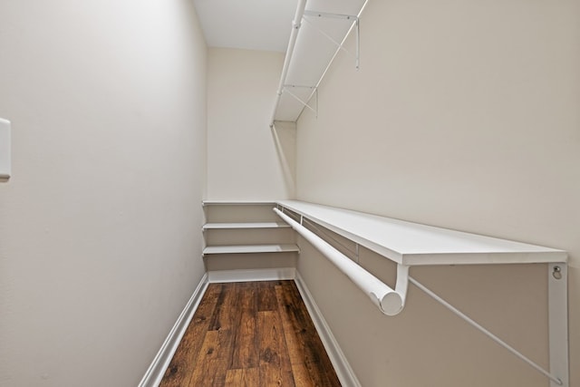 walk in closet featuring dark wood finished floors