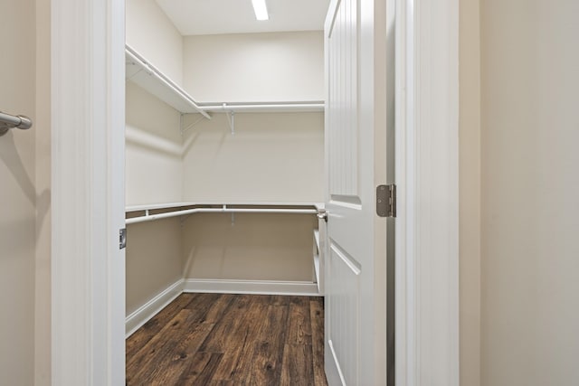 spacious closet featuring dark wood-style flooring