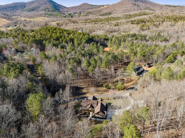 property view of mountains featuring a wooded view