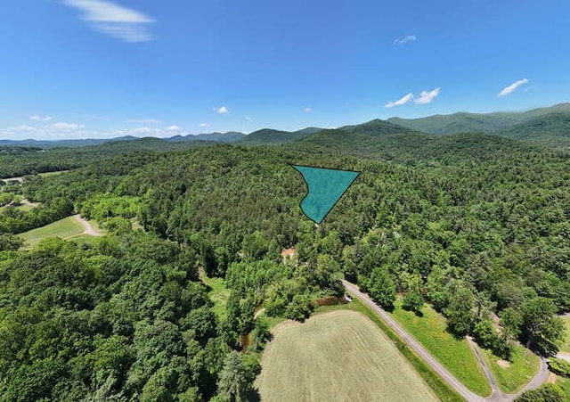 TRACT3 Fain Branch Rd, Blairsville, GA 30512