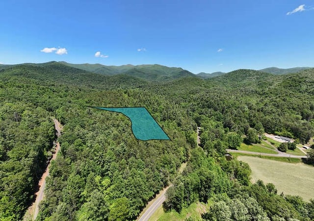 TRACT3 Fain Branch Rd, Blairsville, GA 30512