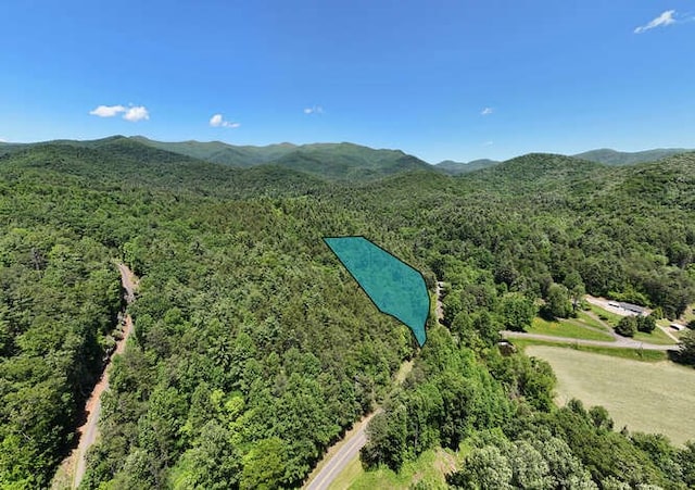 TRACT3 Fain Branch Rd, Blairsville, GA 30512