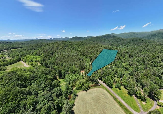 TRACT3 Fain Branch Rd, Blairsville, GA 30512