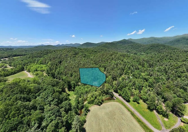 TRACT3 Fain Branch Rd, Blairsville, GA 30512
