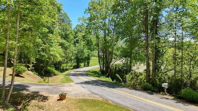 TRACT3 Fain Branch Rd, Blairsville, GA 30512