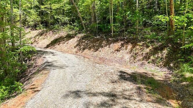 TRACT3 Fain Branch Rd, Blairsville, GA 30512
