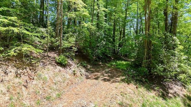 TRACT3 Fain Branch Rd, Blairsville, GA 30512