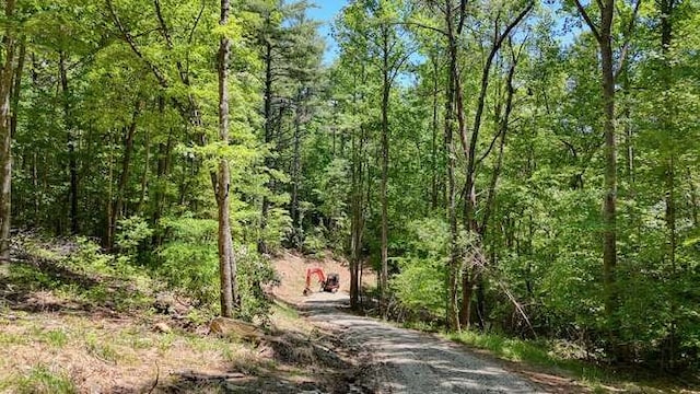 TRACT3 Fain Branch Rd, Blairsville, GA 30512