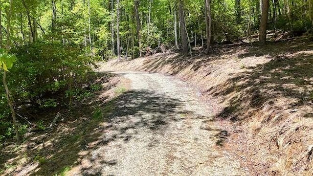 TRACT3 Fain Branch Rd, Blairsville, GA 30512