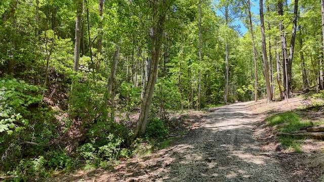 TRACT3 Fain Branch Rd, Blairsville, GA 30512