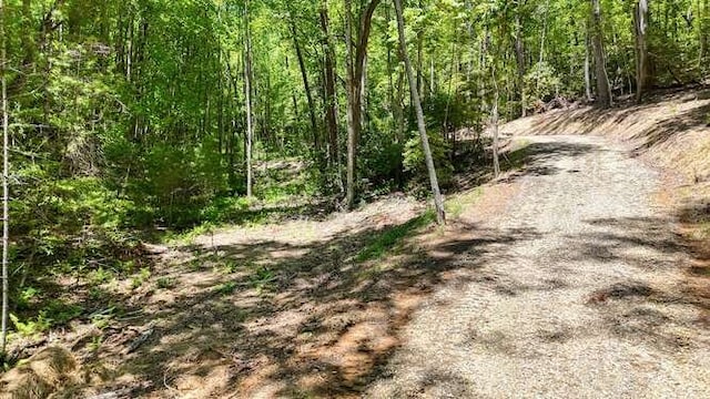 TRACT3 Fain Branch Rd, Blairsville, GA 30512