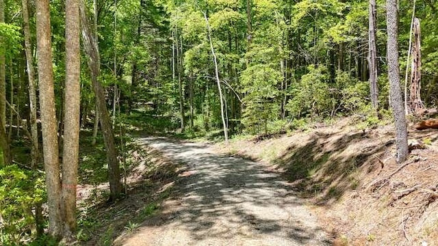 TRACT3 Fain Branch Rd, Blairsville, GA 30512