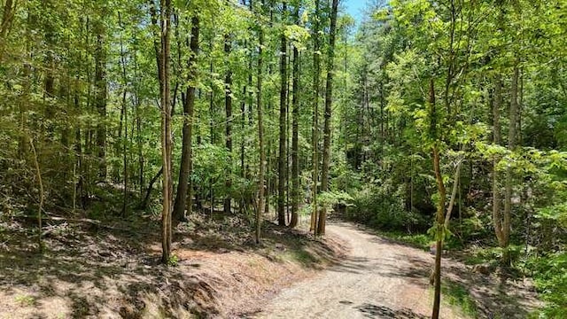 TRACT3 Fain Branch Rd, Blairsville, GA 30512