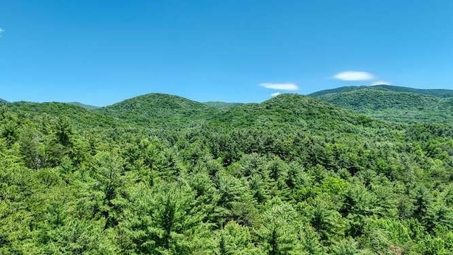 TRACT3 Fain Branch Rd, Blairsville, GA 30512
