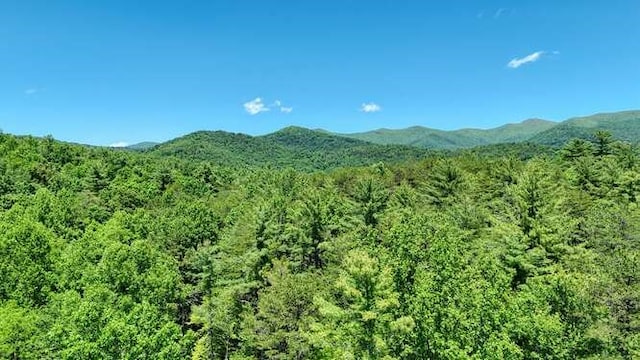 TRACT3 Fain Branch Rd, Blairsville, GA 30512