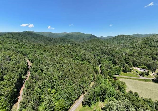 TRACT3 Fain Branch Rd, Blairsville, GA 30512