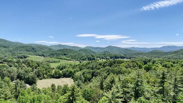 TRACT3 Fain Branch Rd, Blairsville, GA 30512