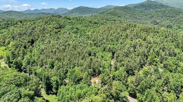 TRACT3 Fain Branch Rd, Blairsville, GA 30512