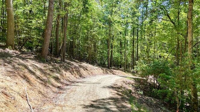 TRACT3 Fain Branch Rd, Blairsville, GA 30512