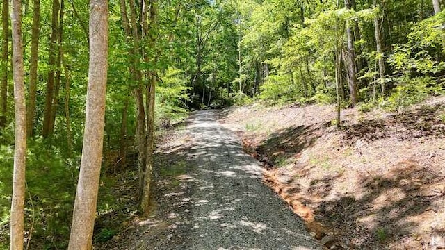 TRACT3 Fain Branch Rd, Blairsville, GA 30512