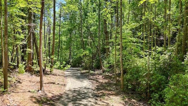 TRACT3 Fain Branch Rd, Blairsville, GA 30512