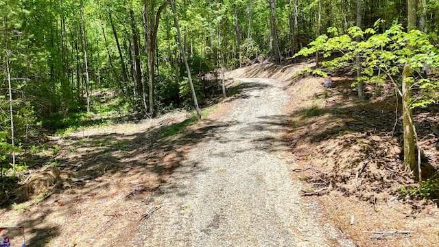TRACT3 Fain Branch Rd, Blairsville, GA 30512
