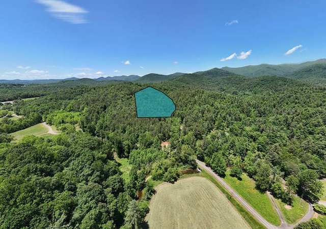 TRACT3 Fain Branch Rd, Blairsville, GA 30512