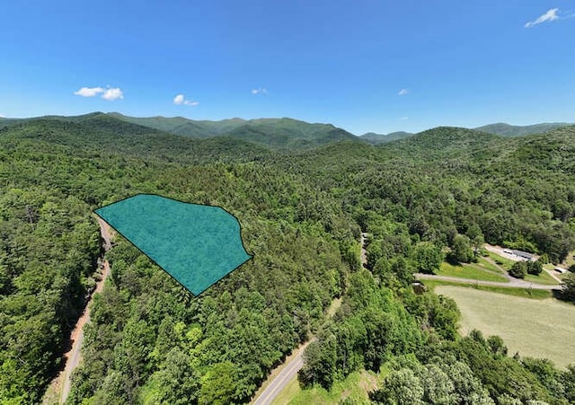 TRACT3 Fain Branch Rd, Blairsville, GA 30512