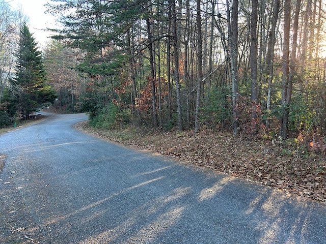 Listing photo 2 for LOT5 Tombstone Dr, Blairsville GA 30512