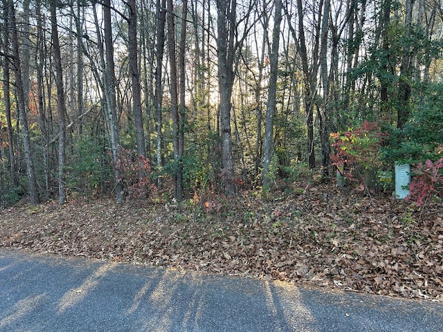 Listing photo 3 for LOT5 Tombstone Dr, Blairsville GA 30512