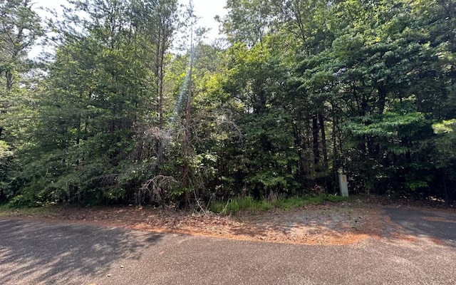 8 & Trl, Ellijay GA, 30536 land for sale