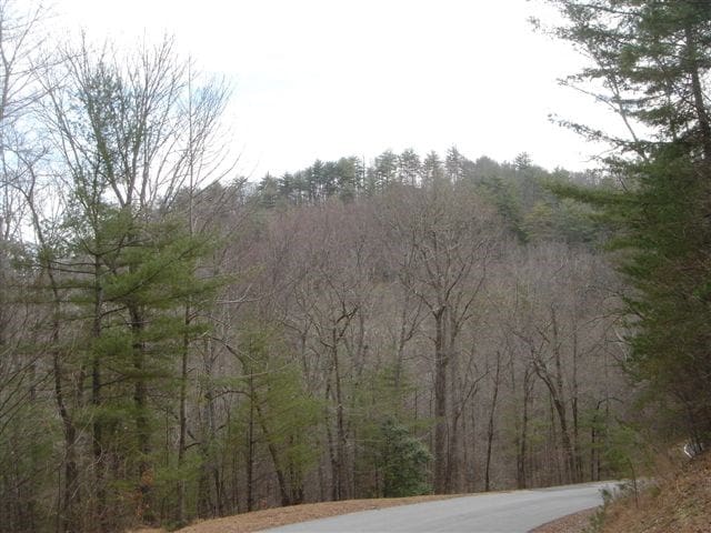 Listing photo 2 for LOT18 Highland Xing, Blairsville GA 30512