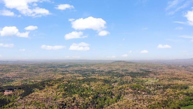 property view of mountains featuring a forest view
