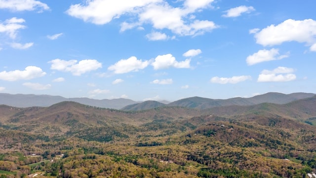 mountain view featuring a forest view