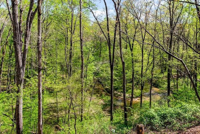view of local wilderness with a forest view