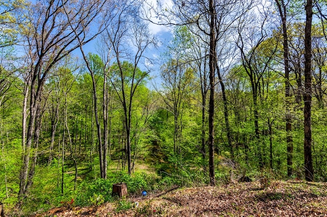 view of nature featuring a view of trees