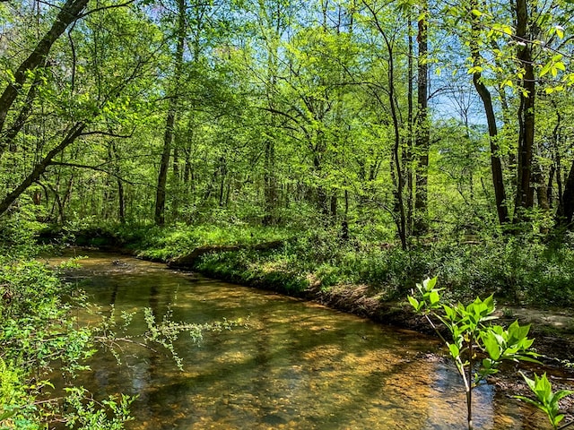view of nature