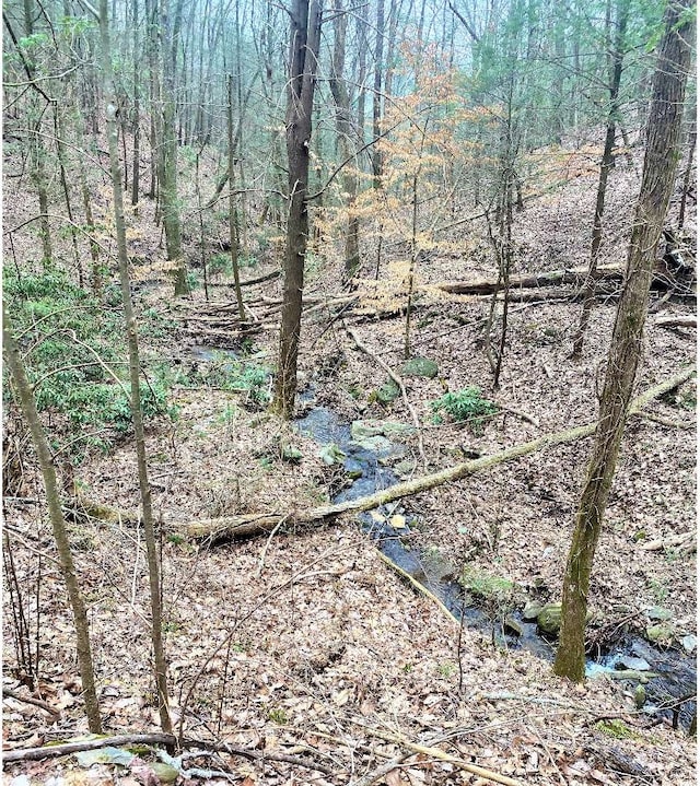 Listing photo 3 for LOT7 Brushy Top Dr, Ellijay GA 30705