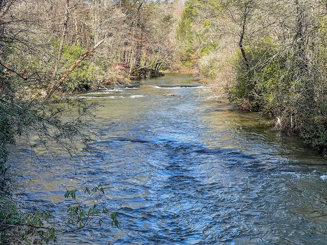 water view featuring a view of trees