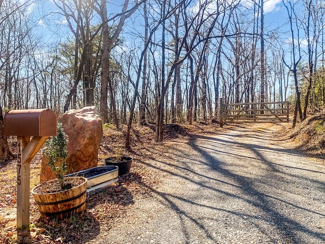 1575 Old Burnt Mountain Rd, Jasper, GA 30143 - view of yard featuring a gate