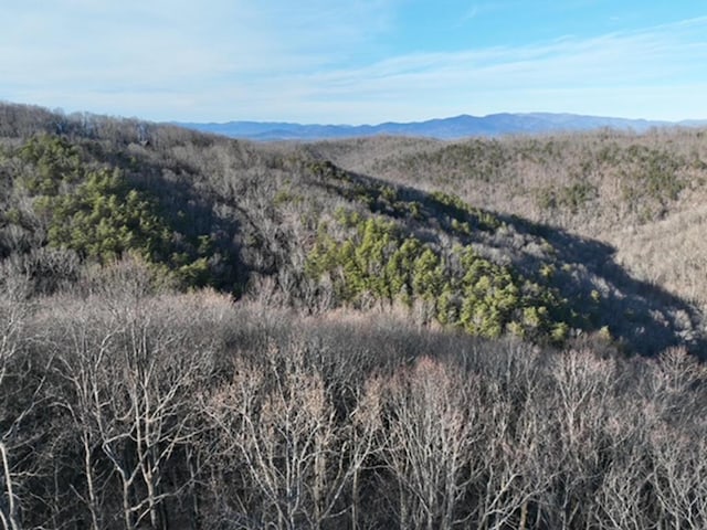 249 Andes Rdg, Ellijay GA, 30536 land for sale