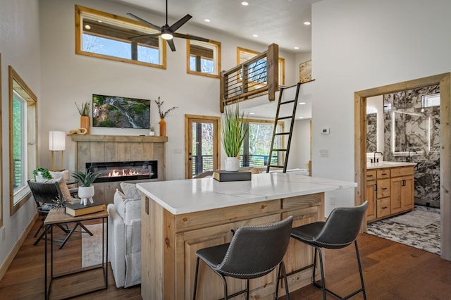 366 Three Oaks Dr, Morganton, GA 30559 - kitchen featuring a glass covered fireplace, plenty of natural light, a towering ceiling, and a ceiling fan
