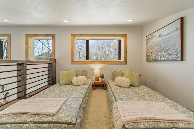 366 Three Oaks Dr, Morganton, GA 30559 - bedroom featuring recessed lighting, carpet flooring, and a textured ceiling