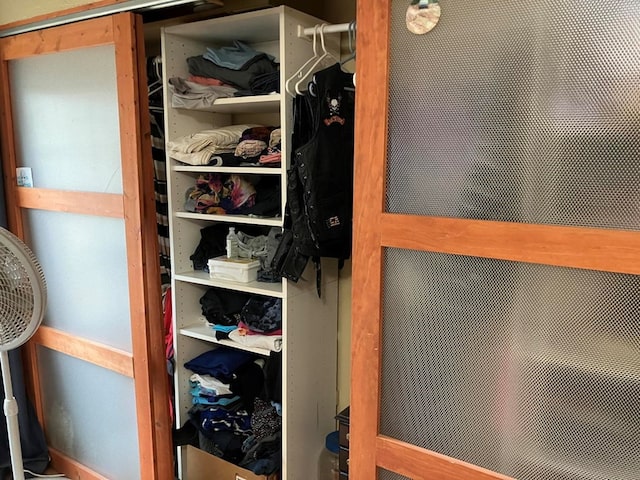 view of closet