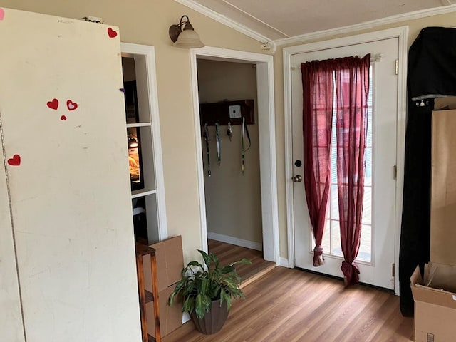 foyer with hardwood / wood-style flooring