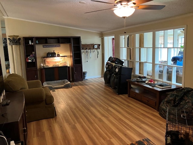 living room with a textured ceiling, crown molding, and lofted ceiling