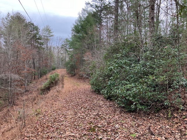 view of local wilderness