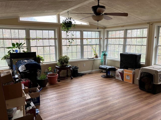 sunroom with ceiling fan and lofted ceiling